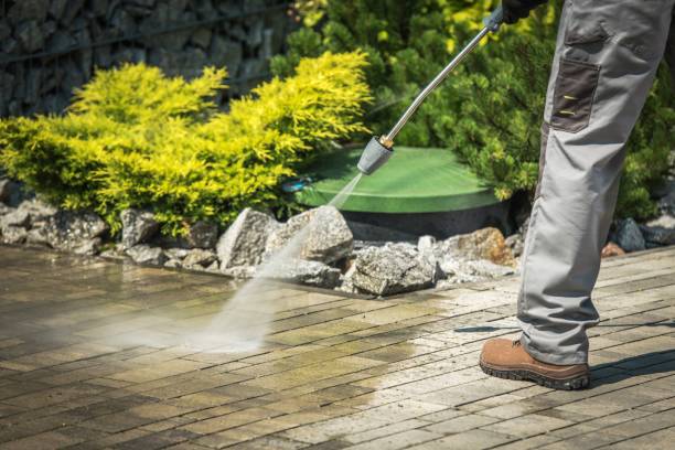 Best Roof Washing  in Seymour, TX